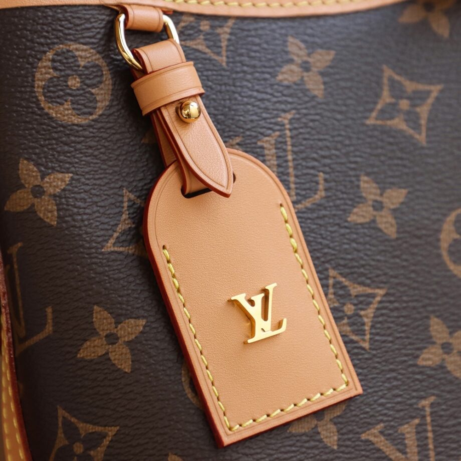 Louis Vuitton M46203 CarryAll Small Handbag