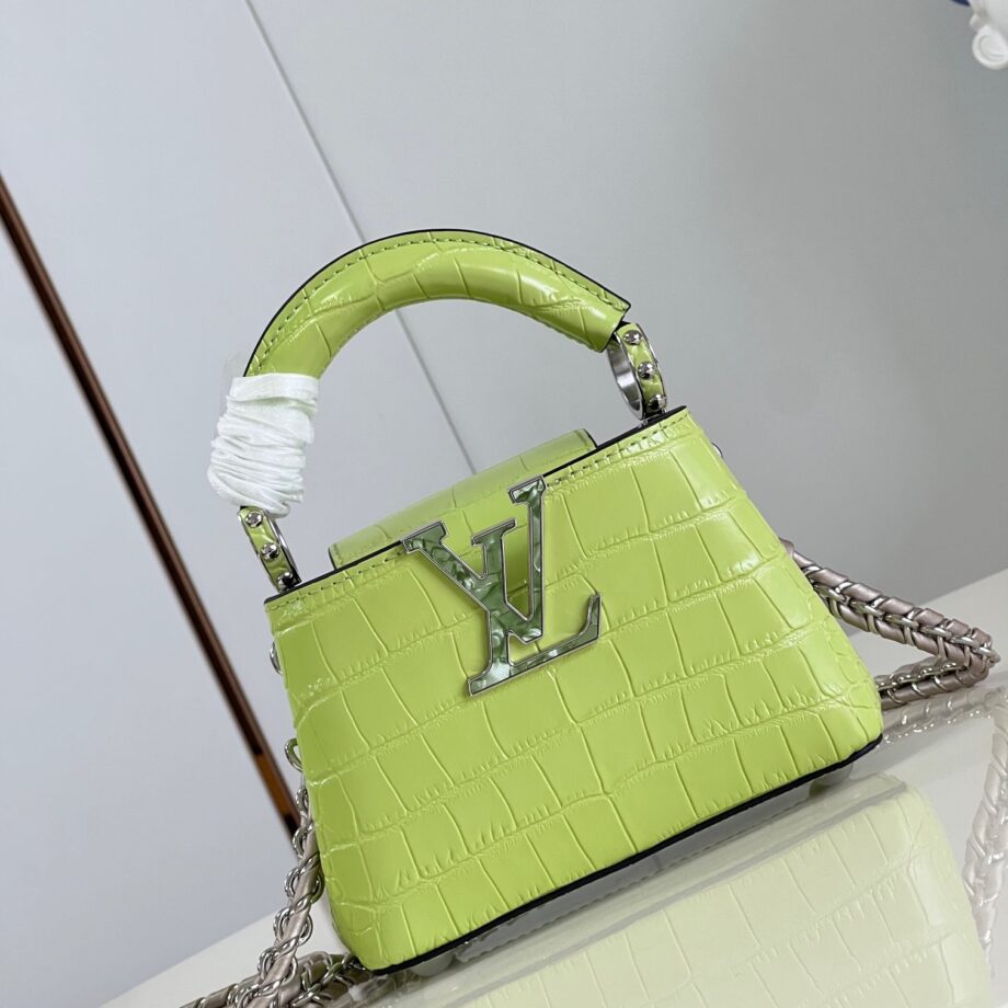 Louis Vuitton Capucines Nano Handbag