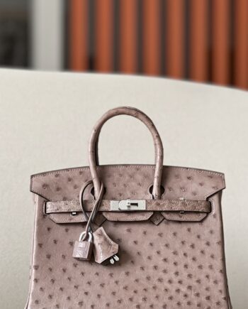 HermèS Birkin25 Turtledove Gray Handmade Ostrich Skin Birkin 25cm