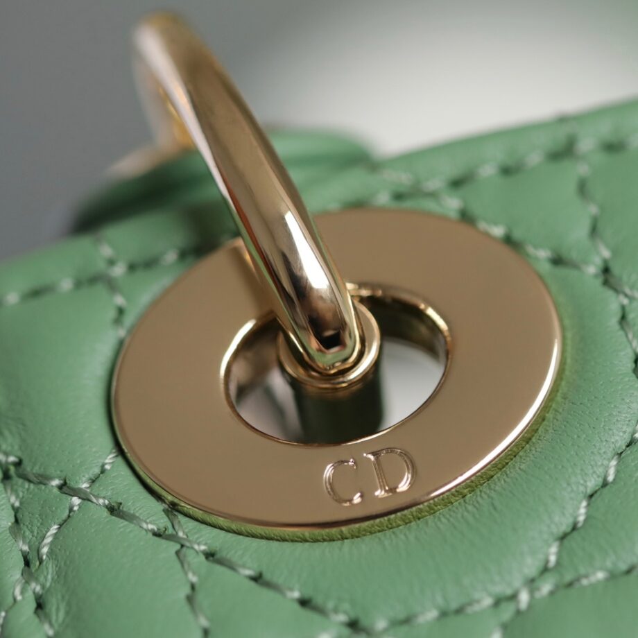 Dior S0856 Green Lady Dior Micro Bag