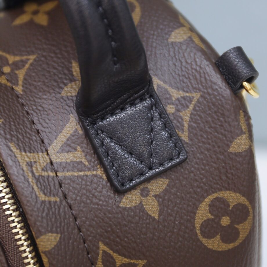 Louis Vuitton M44873 Palm Springs Mini Backpack