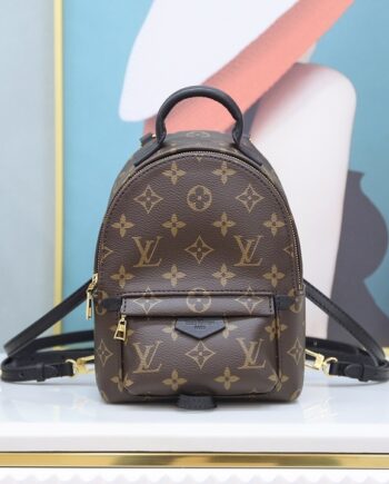 Louis Vuitton M44873 Palm Springs Mini Backpack