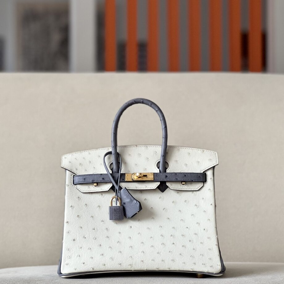 HermèS Birkin25 White/Gray Handmade Ostrich Skin Birkin 25cm